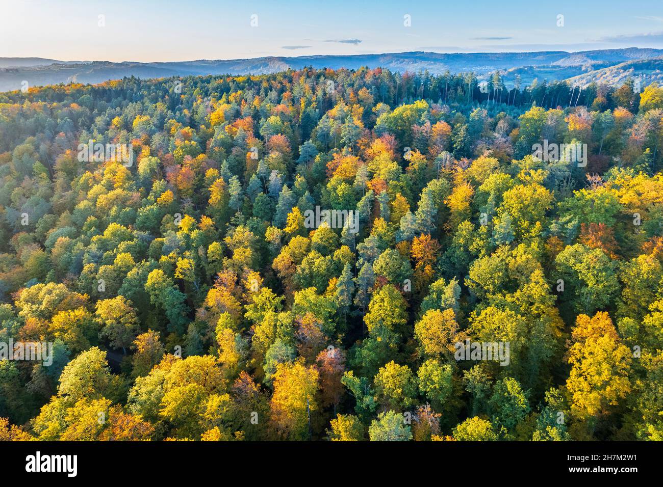 Paesaggio colorato della foresta svevo-Franconiana, Germania Foto Stock