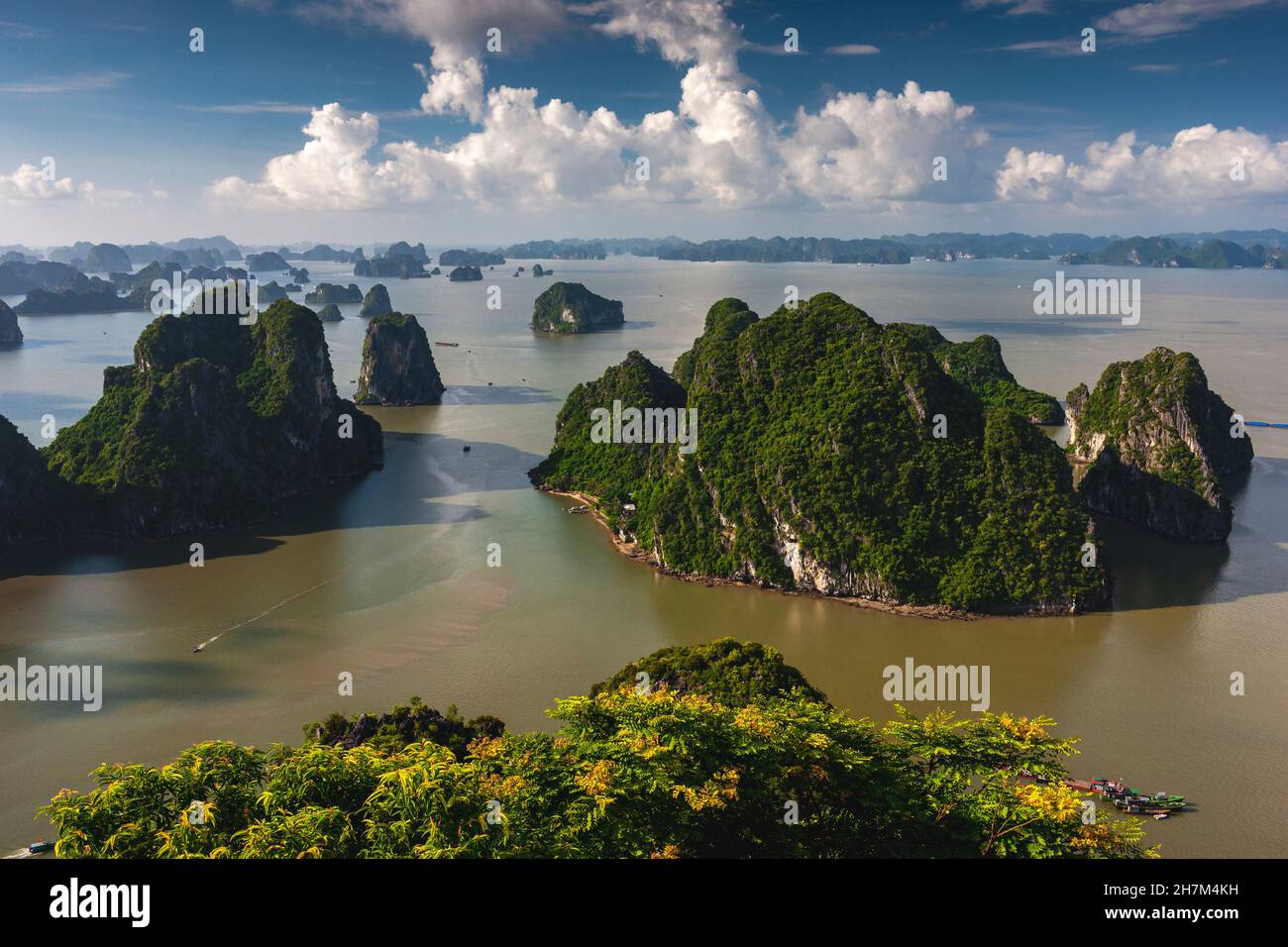 Ha Long Bay appartenente al nord-est del Vietnam, ha Long spiaggia è bella perché migliaia di grandi e piccole isole a Foto Stock