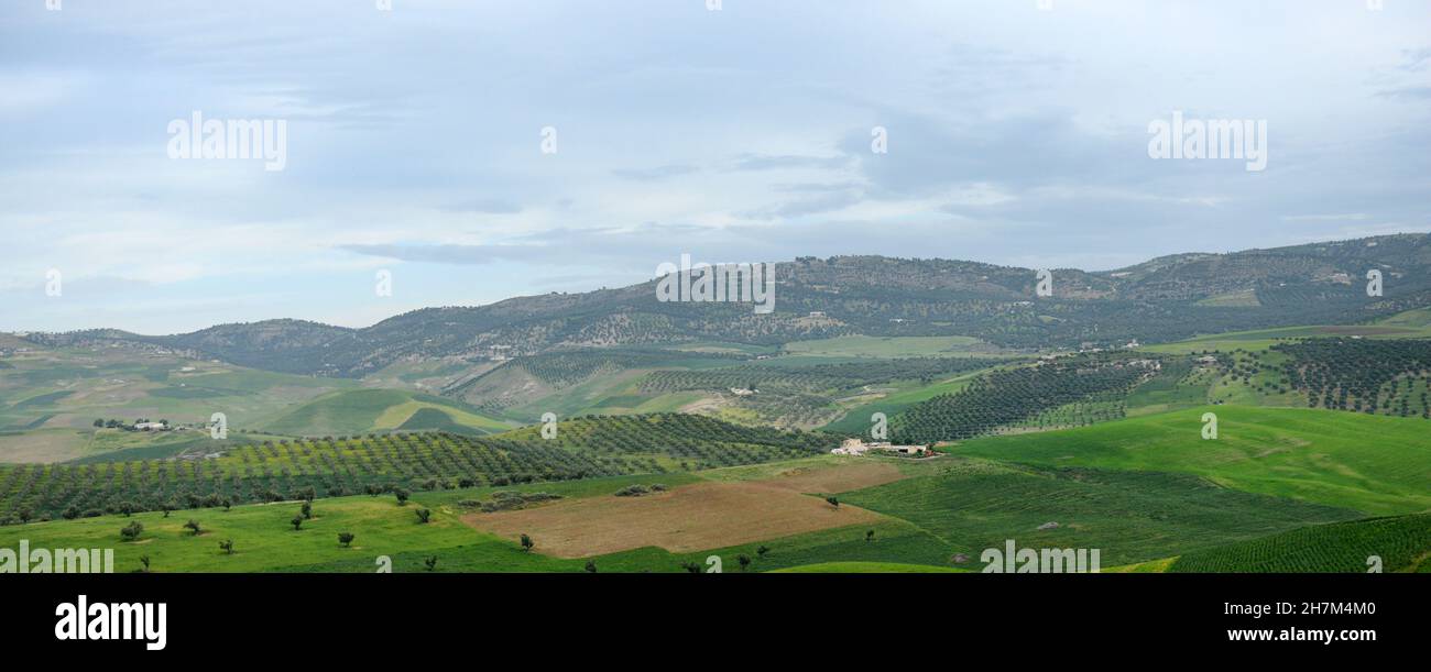 Paesaggi agricoli nel nord del Marocco Foto Stock