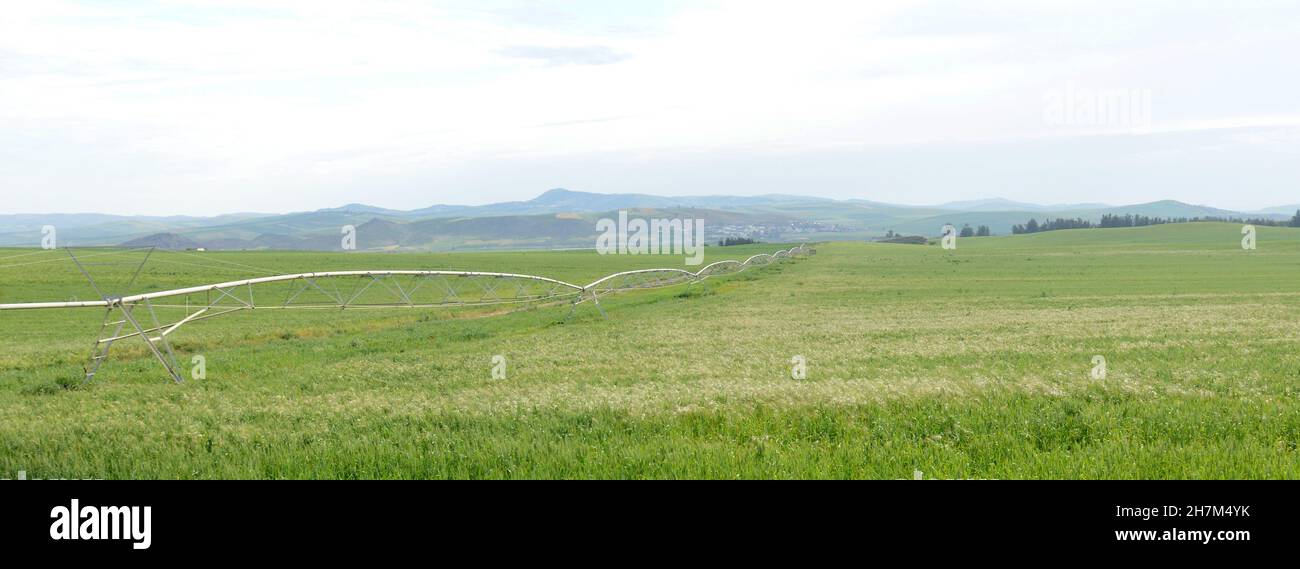 Paesaggi agricoli nel nord del Marocco. Foto Stock
