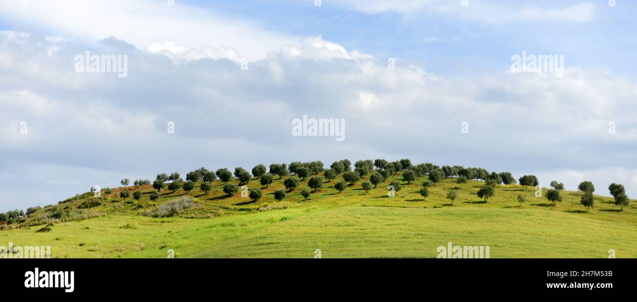 Paesaggi agricoli nel nord del Marocco. Foto Stock