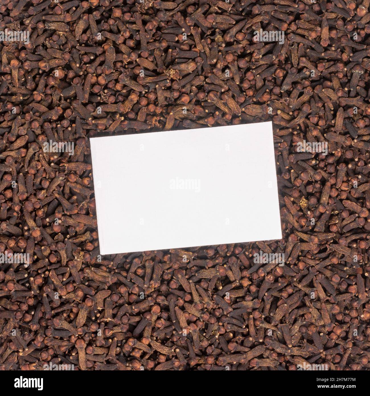 chiodi di garofano secchi, spezie con carta bianca o cartoncino per il testo al centro, spezie aromatiche e erbe con spazio di copia, modello di sfondo Foto Stock