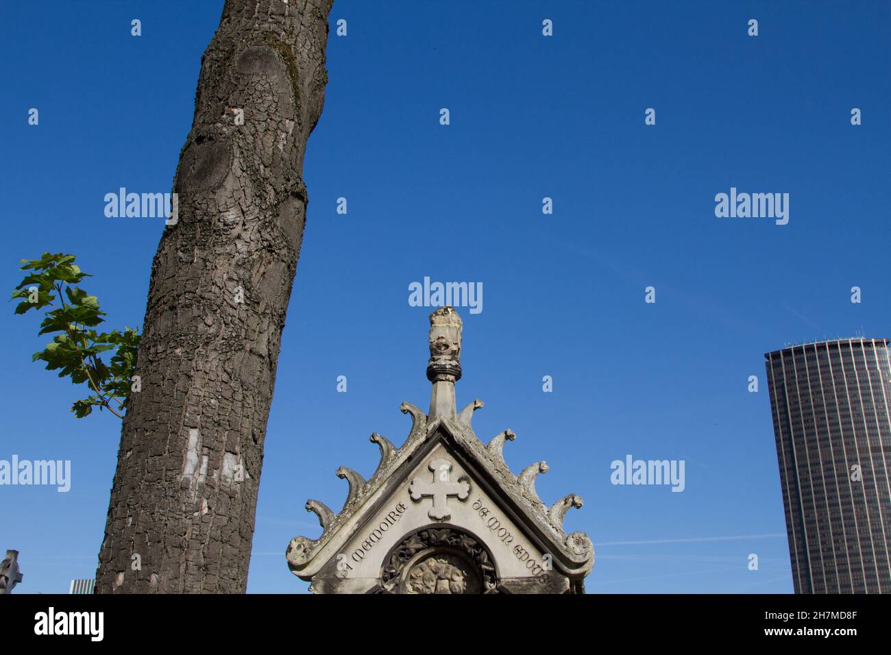 Cimitero di Montparnasse a Parigi Francia (il tour di montpanasse sullo sfondo) Foto Stock