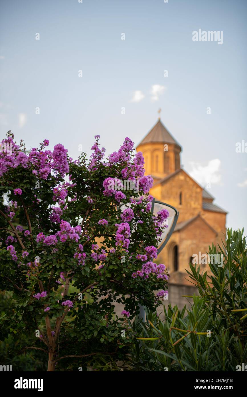 Nel parco con mirto tempio Metekhi a tbilisi in Georgia Foto Stock