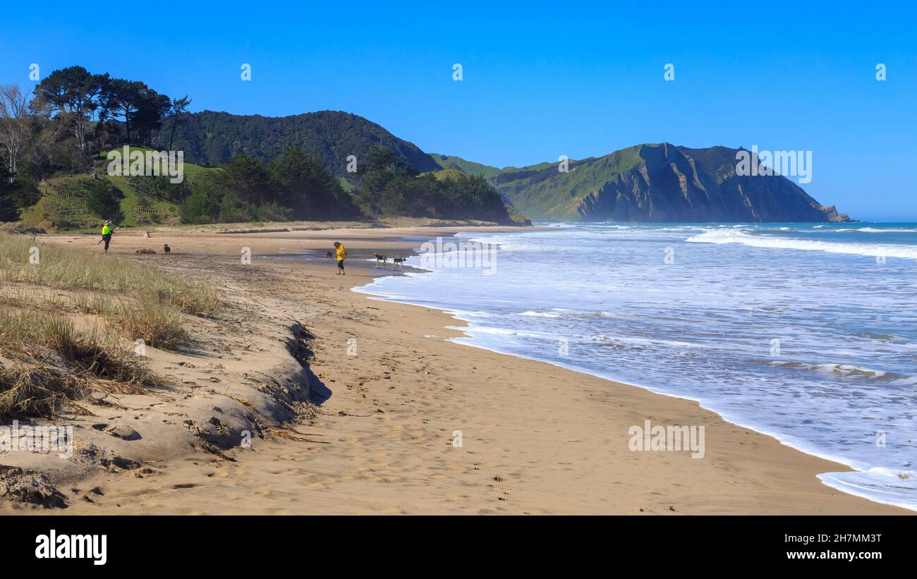 Le onde rotolano a Waihau Beach in una parte remota del distretto di Tairawhiti / Gisborne della Nuova Zelanda Foto Stock