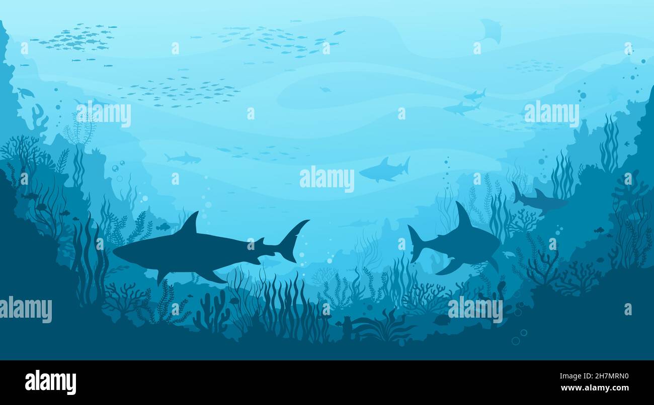 Paesaggio subacqueo con squali a testa d'uomo, manta ray e scuola di pesce, sagome delle barriere coralline. Flora e fauna del mare profondo, vita del fondo dell'oceano o s scuro Illustrazione Vettoriale