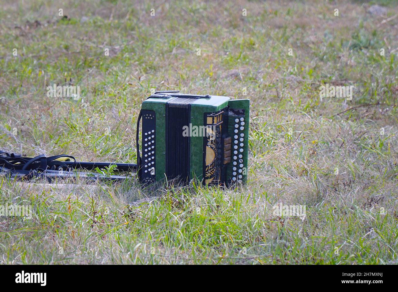 Fisarmonica russa sul prato sull'erba verde Foto Stock