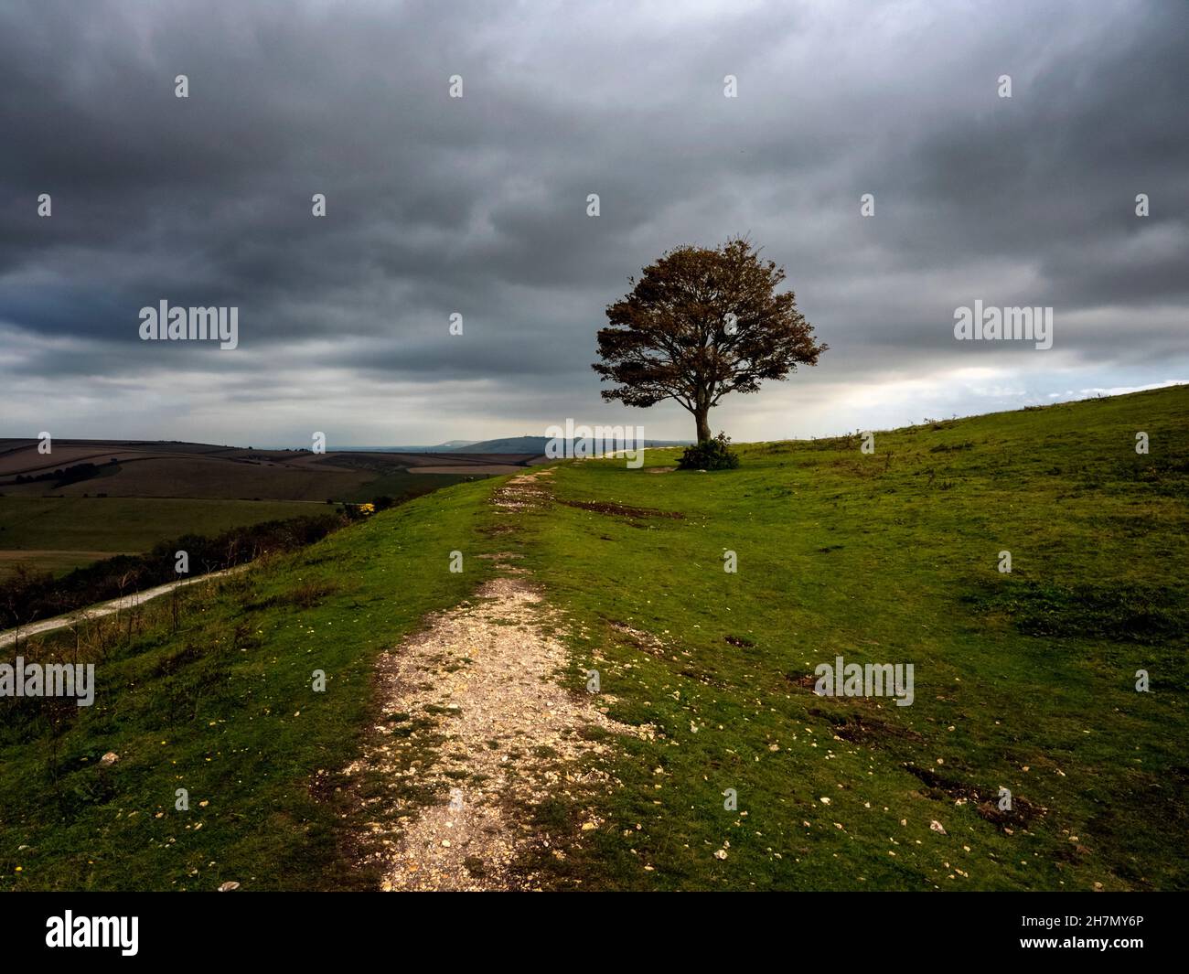 Bastione di Cissbury Ring, il più grande forte collina in Sussex. Il forte di terra sulle Downs del sud nel Sussex occidentale è stato costruito nell'età del ferro (C250BC Foto Stock