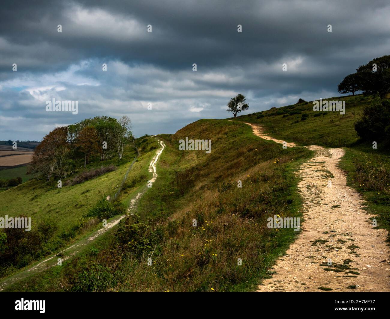 Bastione di Cissbury Ring, il più grande forte collina in Sussex. La fortezza di terra sulle South Downs nel Sussex occidentale è stata costruita nell'età del ferro C250BC Foto Stock
