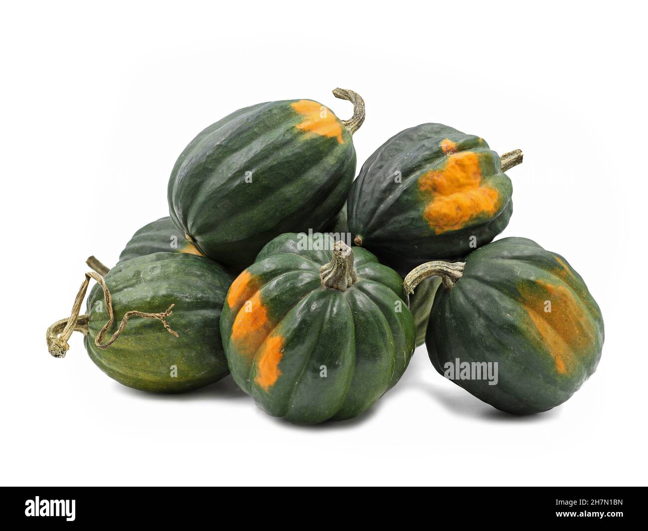 Mucchio di zucca di Acorn, pepe di Cucurbita, turbinata, o pepper squash isolato su sfondo bianco Foto Stock