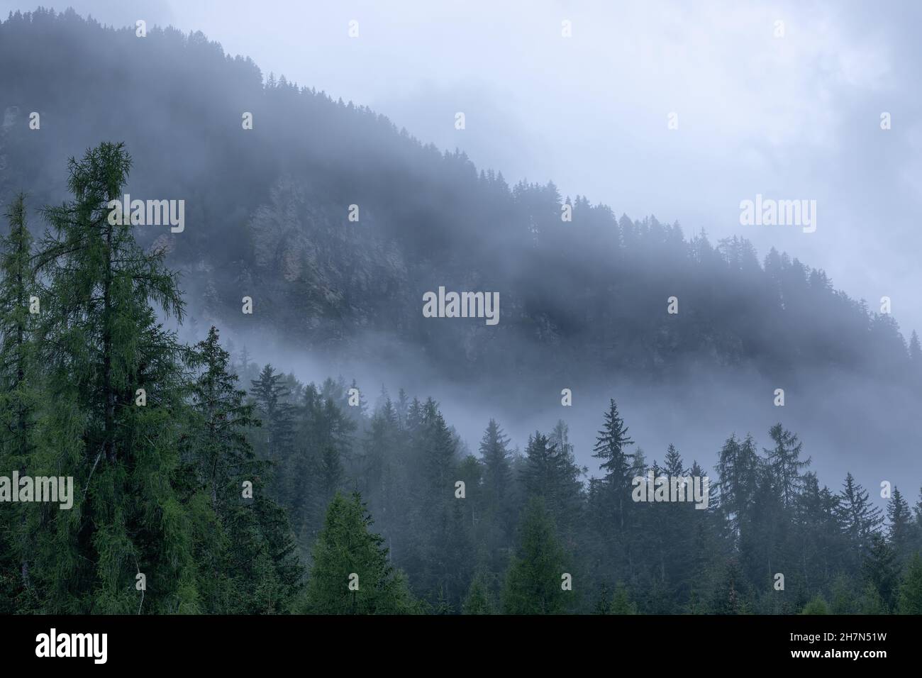 Le pendici montane delle Dolomiti italiane ricoperte di fitta nebbia Foto Stock