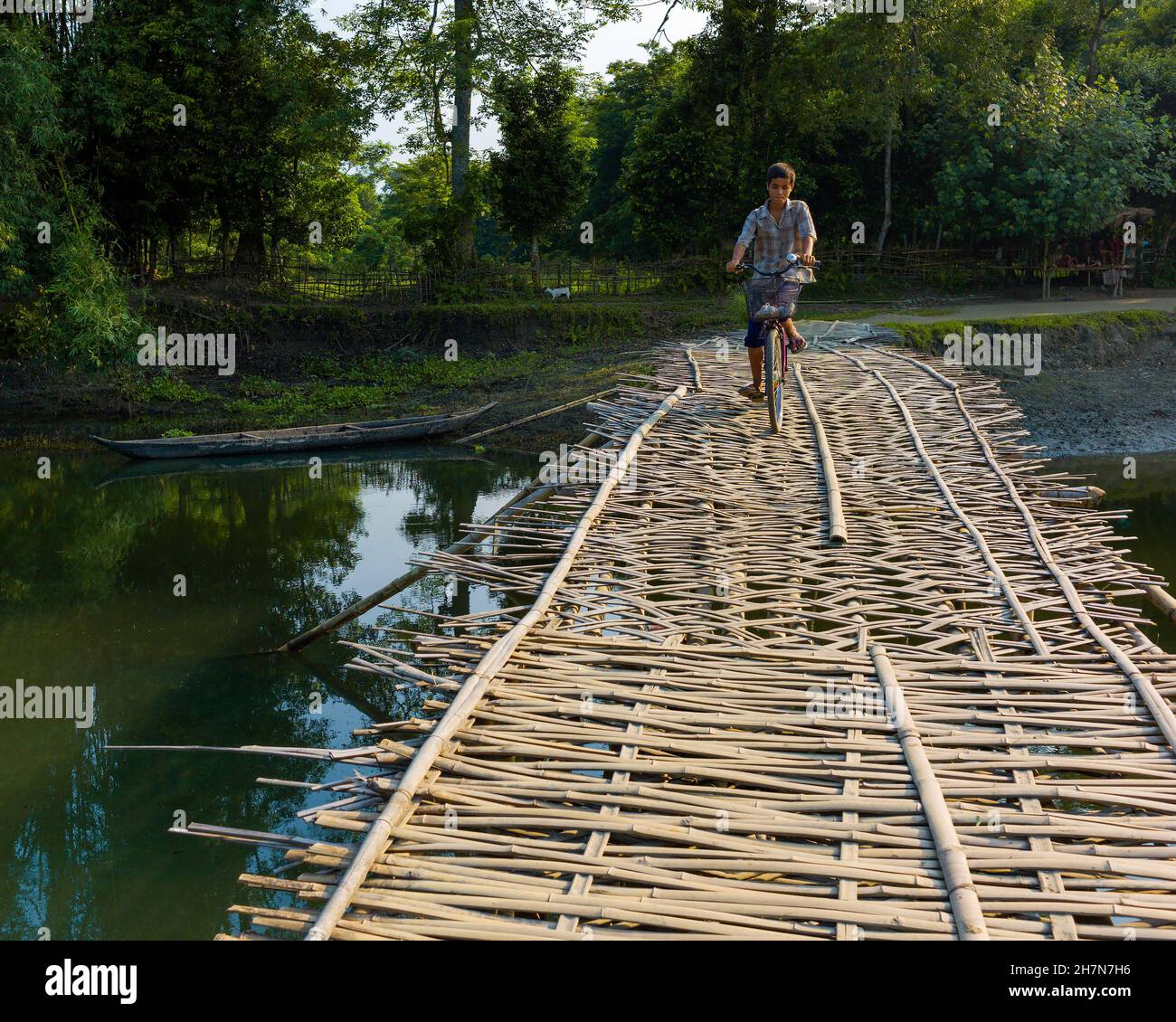 Giovane uomo in bicicletta che attraversa il ponte di traliccio di bambù sulla laguna e gli alberi sullo sfondo in un giorno tranquillo sull'isola di Majuli, Assam, India. Foto Stock