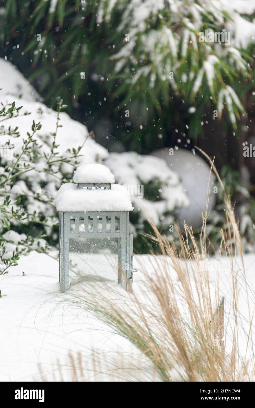 Primo piano di una lanterna in metallo d'epoca in un giardino d'inverno sotto la neve Foto Stock