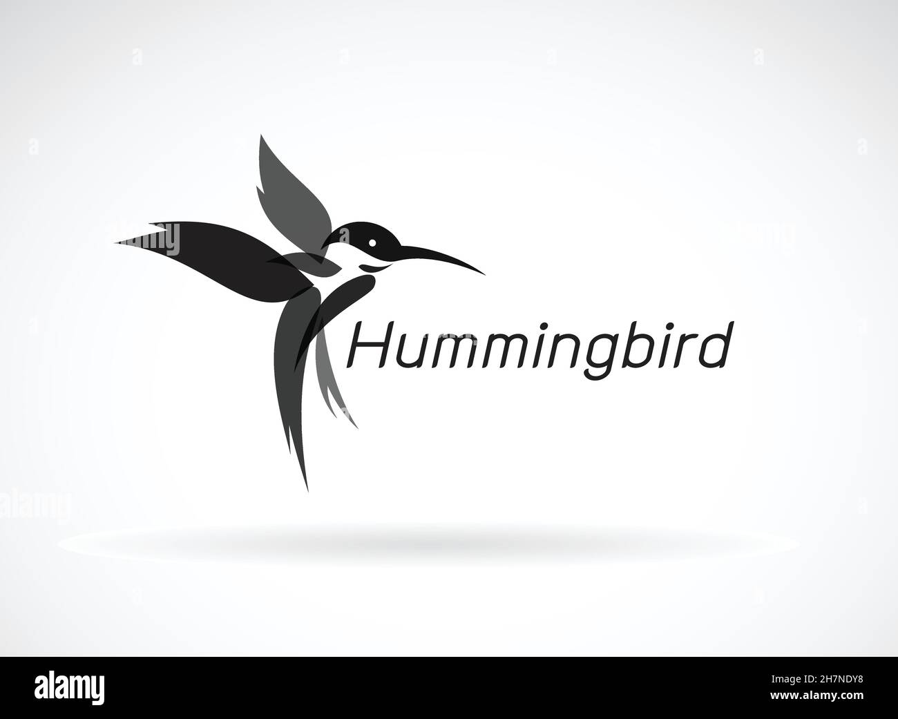 Vettore di hummingbird disegno su sfondo bianco., Animali selvatici. Icona Birds., illustrazione vettoriale a livelli facilmente modificabile. Illustrazione Vettoriale