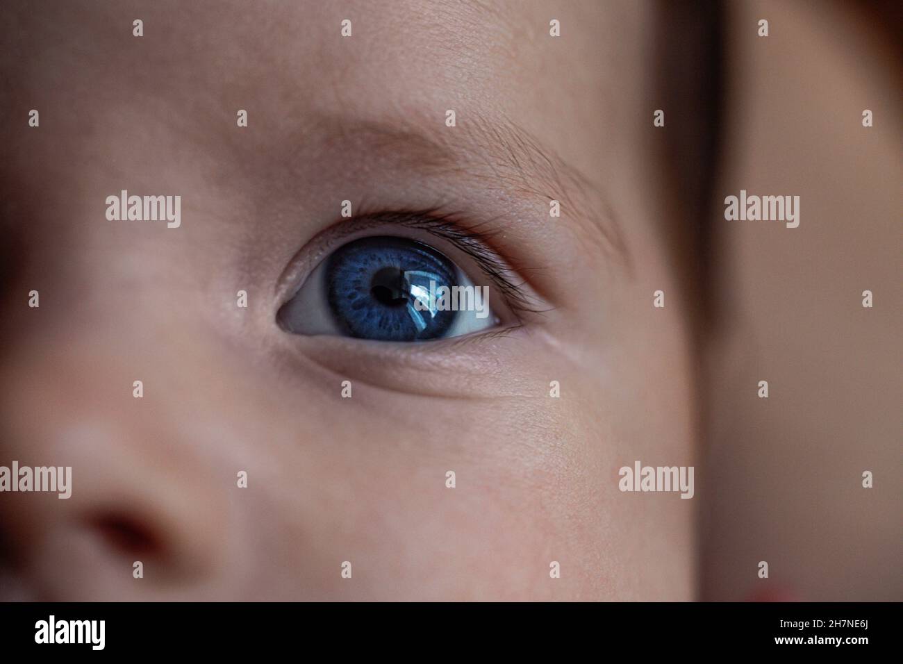 Scatto Closuep dei grandi occhi blu di un bambino Foto Stock
