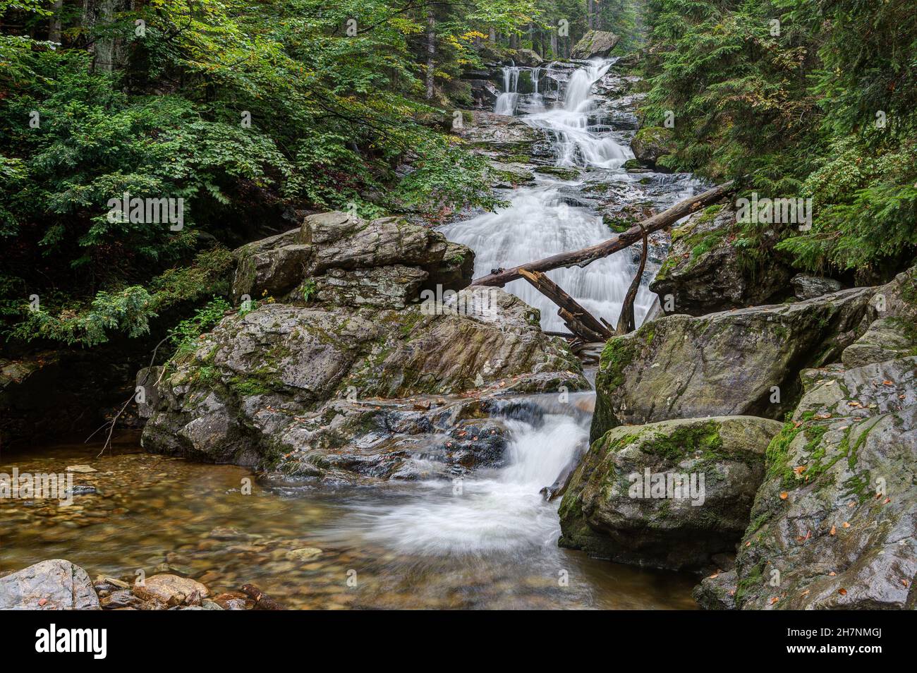 Il Rissbach supera i 260 metri di altitudine durante il suo percorso verso la valle e forma le cascate più alte della foresta bavarese con i 55 metri. Foto Stock