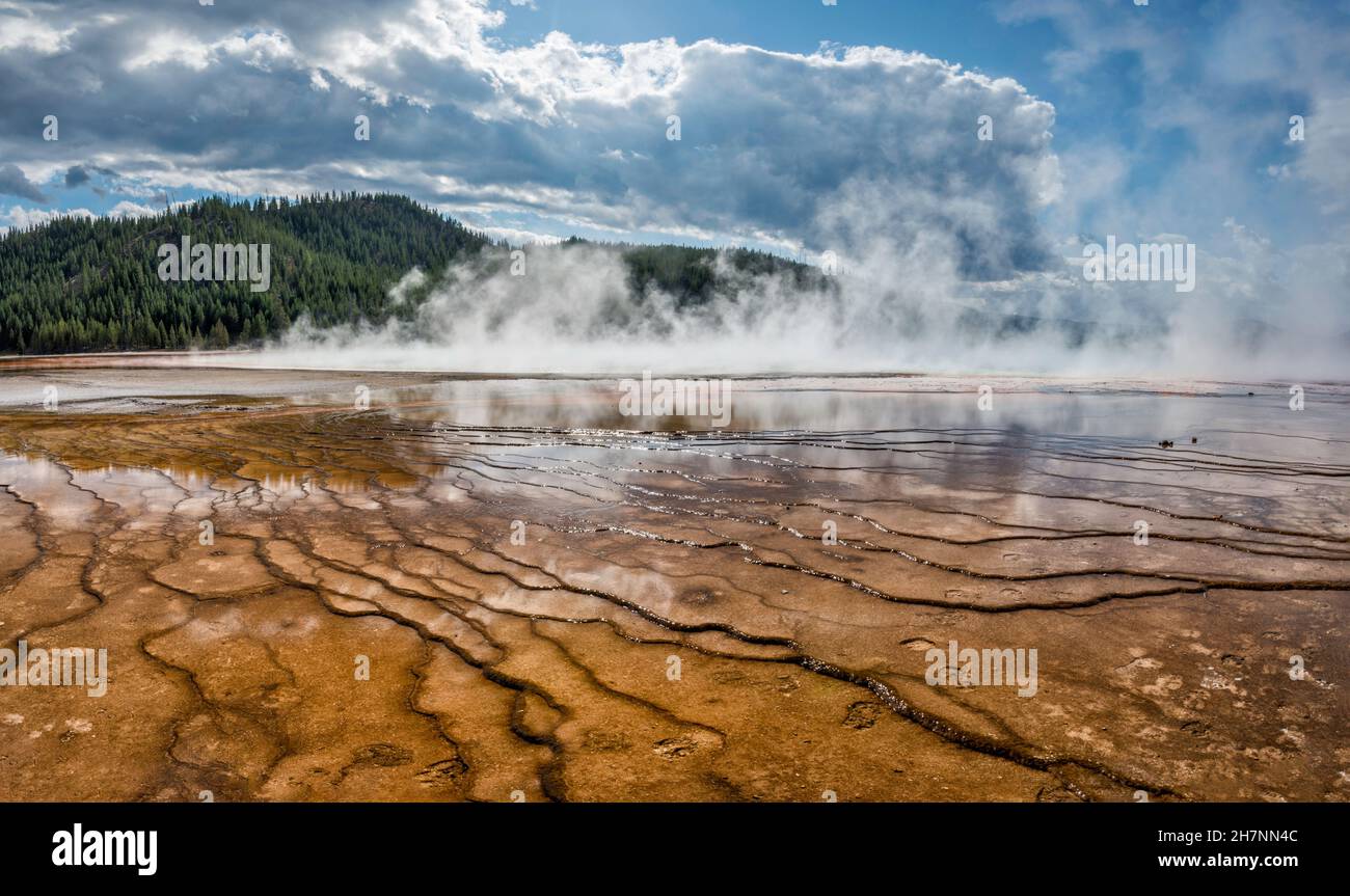 Orme che marchettano depositi minerali, vapore che sale da Grand Prismatic Spring, Midway Geyser Basin, Yellowstone National Park, Wyoming, USA Foto Stock