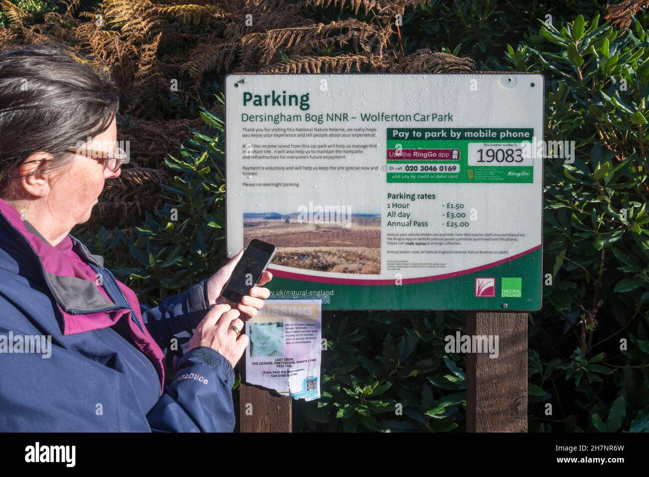 Donna che usa l'app RingGo sul suo telefono cellulare per pagare una tassa di parcheggio al parcheggio Dersingham Bog NNR a Wolferton. Foto Stock