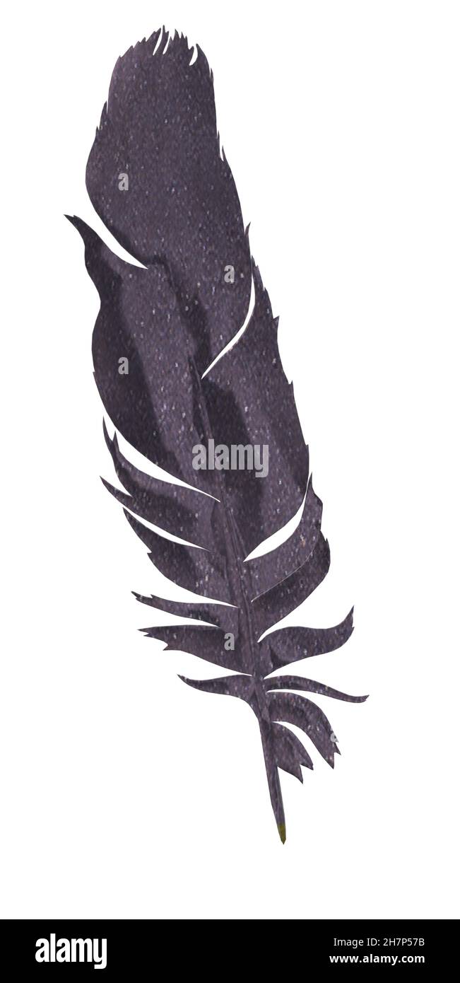 Feather grigio scuro brillante in metallo lucido Illustrazione Vettoriale