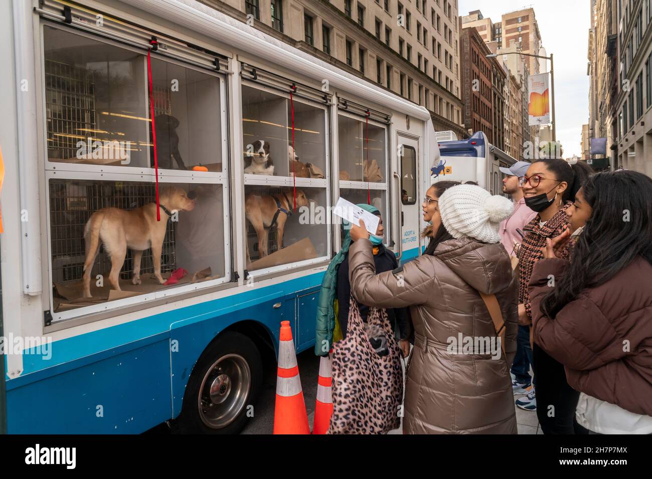 Gli amanti degli animali al di fuori di un furgone per l'adozione degli animali domestici a Madison Square a New York sabato 20 novembre 2021. (© Richard B. Levine) Foto Stock