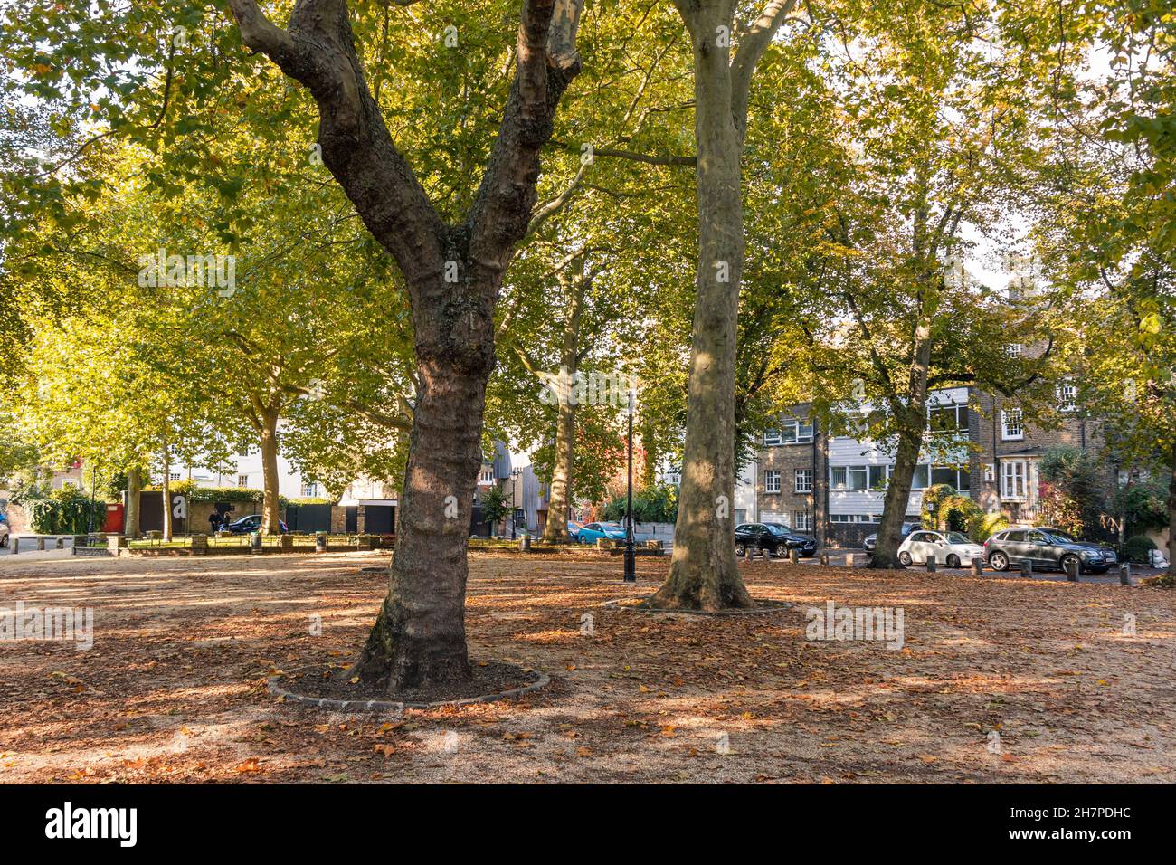 La luce solare autunnale filtra attraverso alberi di lime in Pond Square, Highgate Village, Londra, Regno Unito Foto Stock