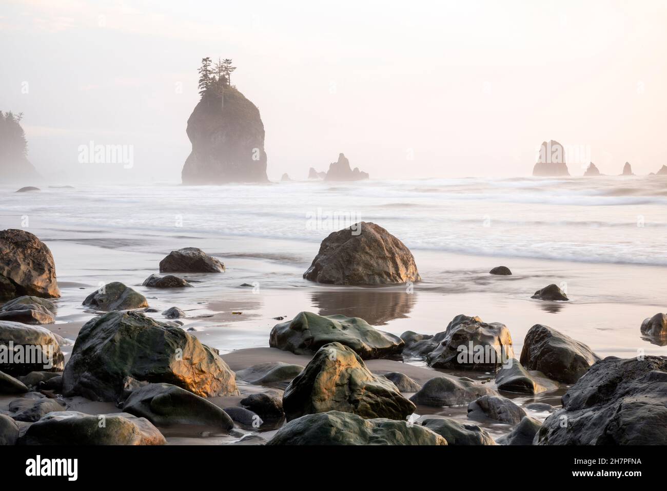 WA20451-00....WASHINGTON - Cedar Creek Beach lungo la costa pacifica selvaggia del Parco Nazionale Olimpico. Foto Stock