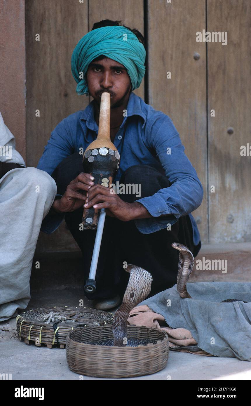 India. Delhi. Incantatore serpente. Foto Stock