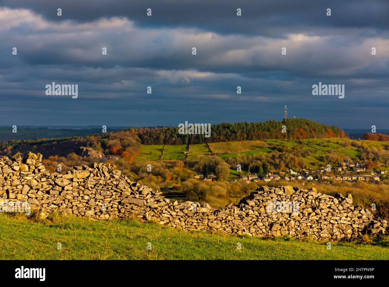 Muro di arenaria e alberi a Middleton Moor vicino Middleton by Wirksworth vicino all'High Peak Trail nel Derbyshire Dales Peak District Inghilterra Regno Unito Foto Stock