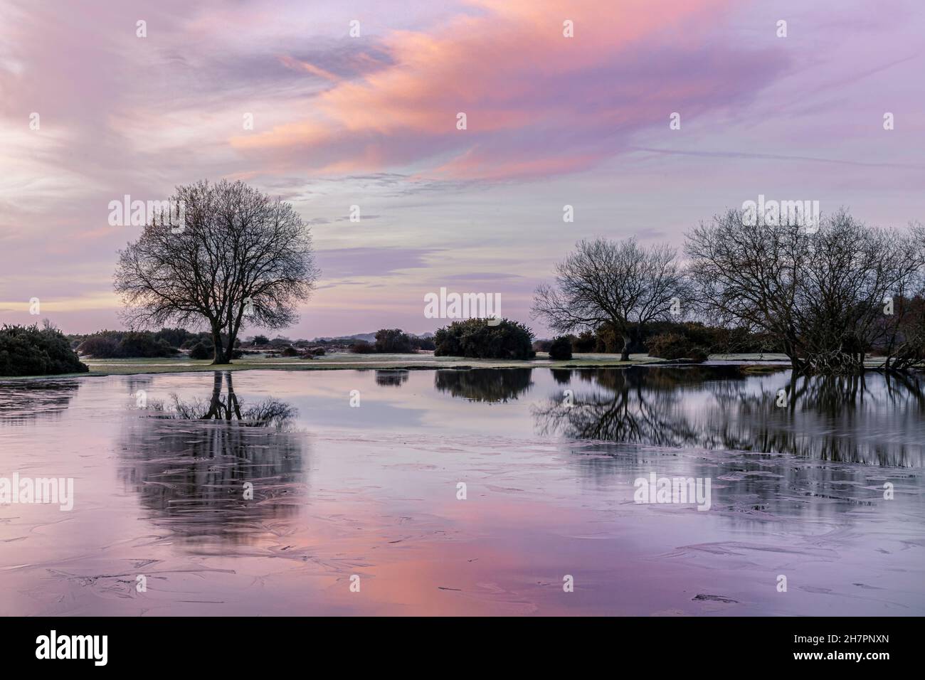 Janesmoor Pond, New Forest, Fritham, Hampshire, Inghilterra, Regno Unito Foto Stock