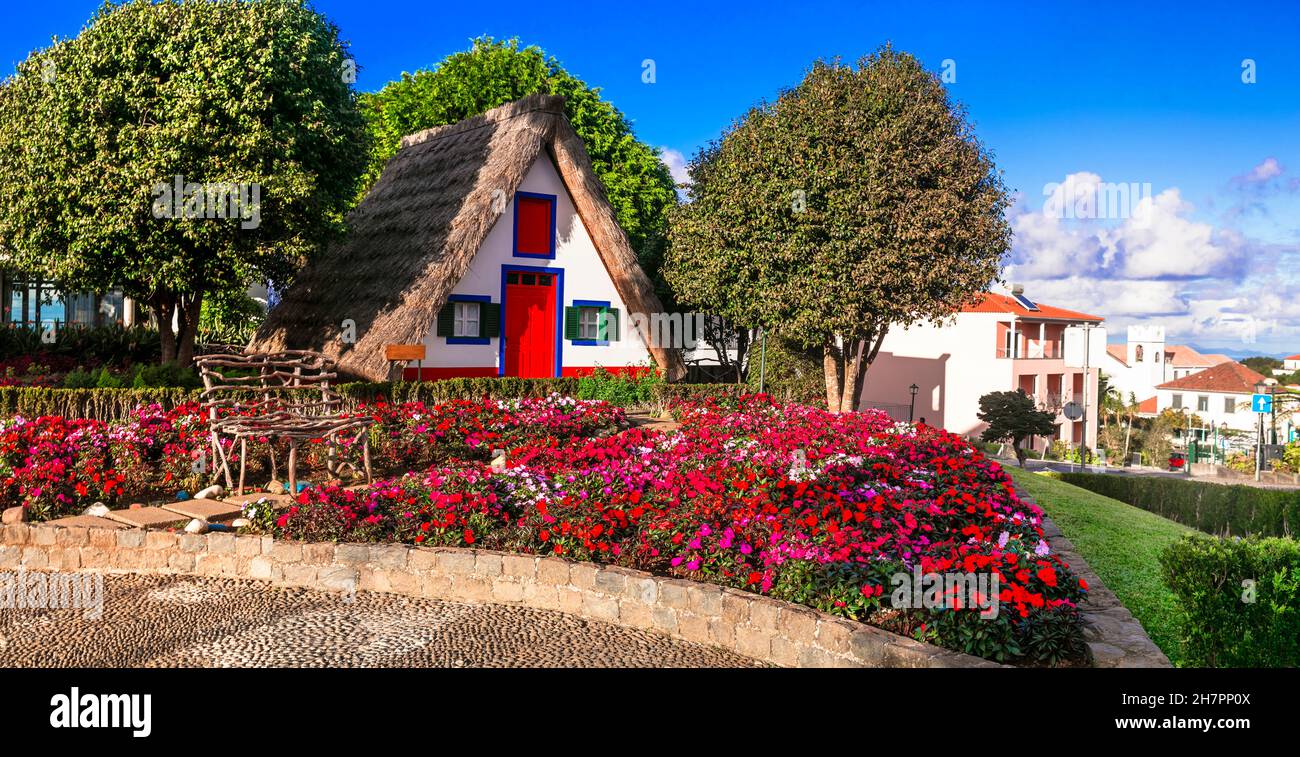 Viaggio a Madeira e luoghi di interesse. Affascinanti case colorate tradizionali con tetti di paglia nella città di Santana, attrazione turistica popolare in Portogallo Foto Stock