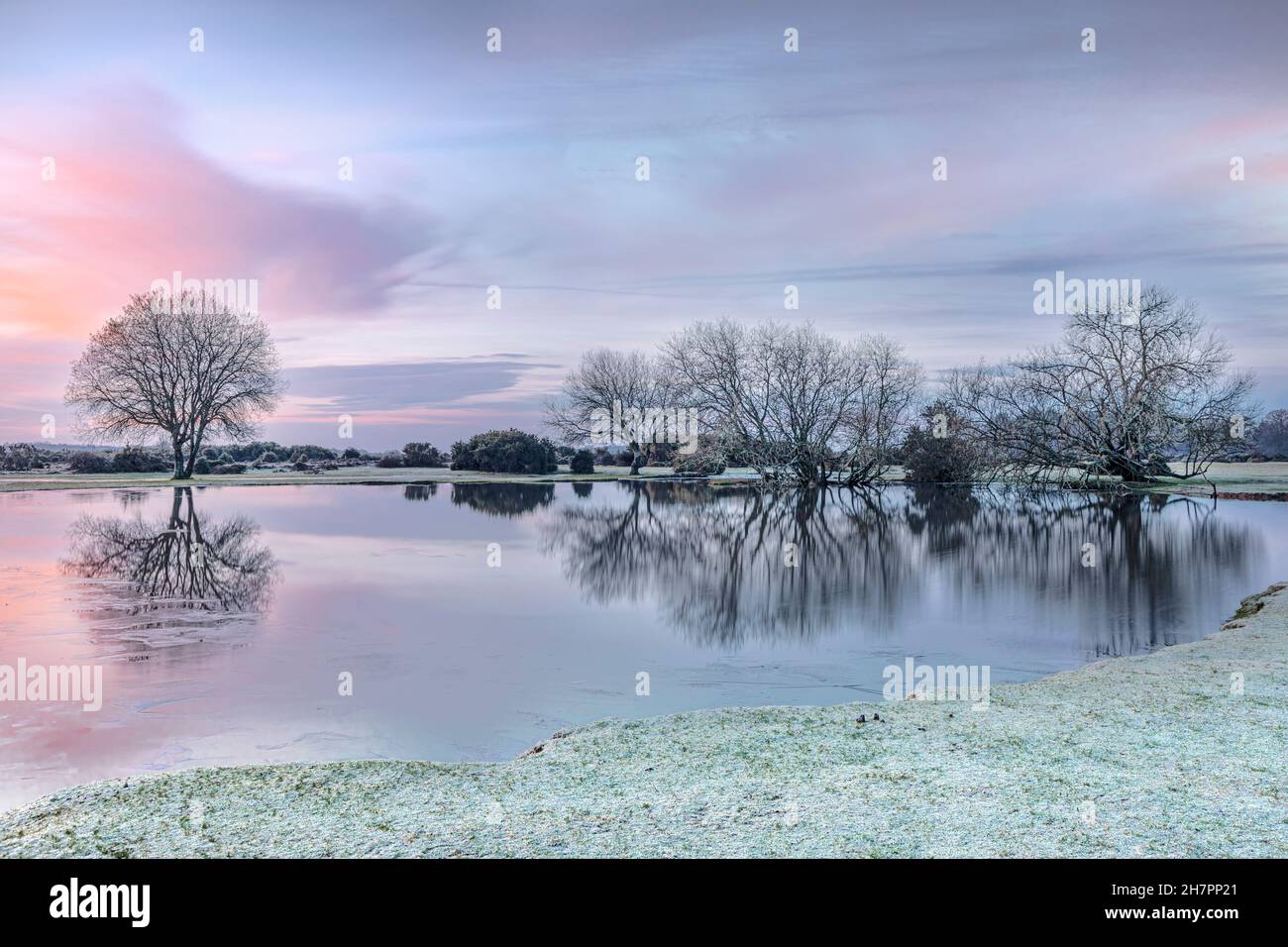 Janesmoor Pond, New Forest, Fritham, Hampshire, Inghilterra, Regno Unito Foto Stock
