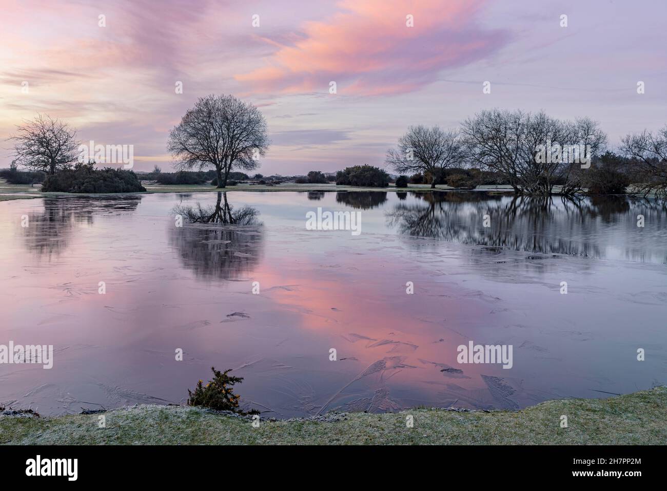 Janesmoor Pond, New Forest, Fritham, Hampshire, Inghilterra, Regno Unito Foto Stock