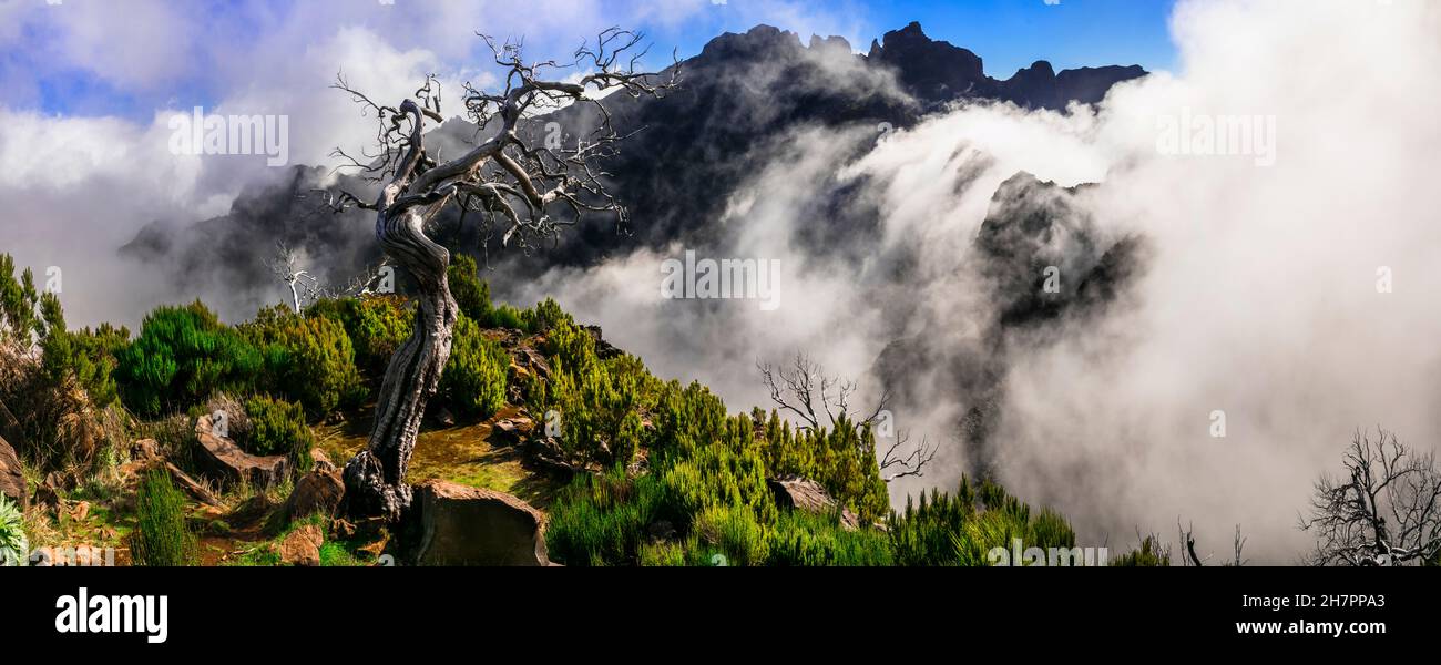 Madeira Mountians a piedi (escursione) . Sentiero per il punto più alto dell'isola di Pico Ruivo con viste panoramiche mozzafiato Foto Stock