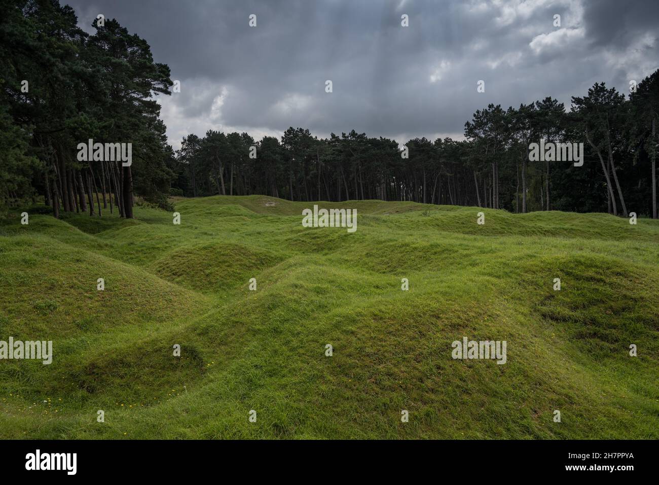 il primo campo di battaglia della guerra mondiale con i crateri oggi. Buchi di artiglieria troppo coltivati con erba. Cielo scuro con un po' di luce solare. Vimy, Francia Foto Stock