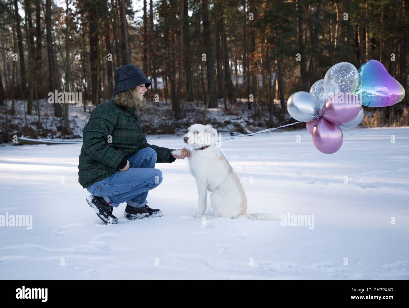 la giovane donna con il suo cane bianco, a cui un mazzo di palloncini sono legati, si siede sul terreno nevoso. Camminando in inverno con il vostro animale domestico amato. Compleanno Foto Stock