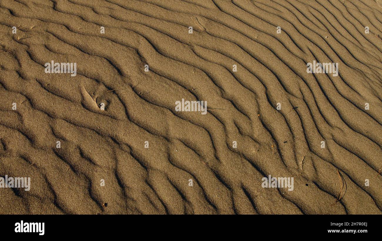 Luogo di deposizione delle tartarughe di loggerhead; spiaggia di Iztuzu. È conosciuta per il suo granchio blu e le sabbie dorate. Vicino al delta di Dalyan. Foto Stock