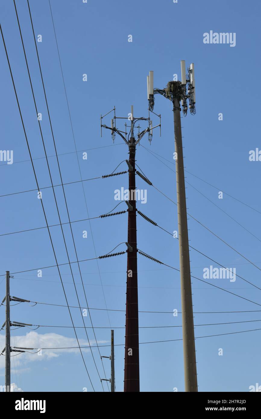 I cavi formano un modello Web intorno a due ripetitori per telefoni cellulari. Foto Stock