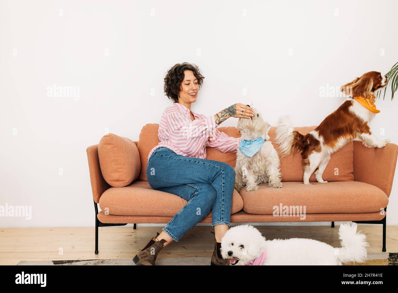 Giovane donna seduta su un divano con tre cani in soggiorno Foto Stock