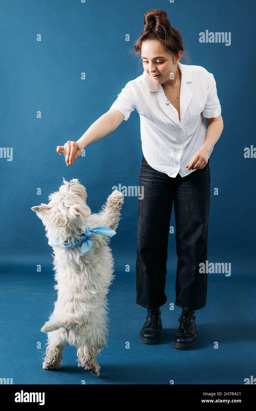Giovane donna in casuals che nutre il suo cane con pelliccia bianca in studio Foto Stock