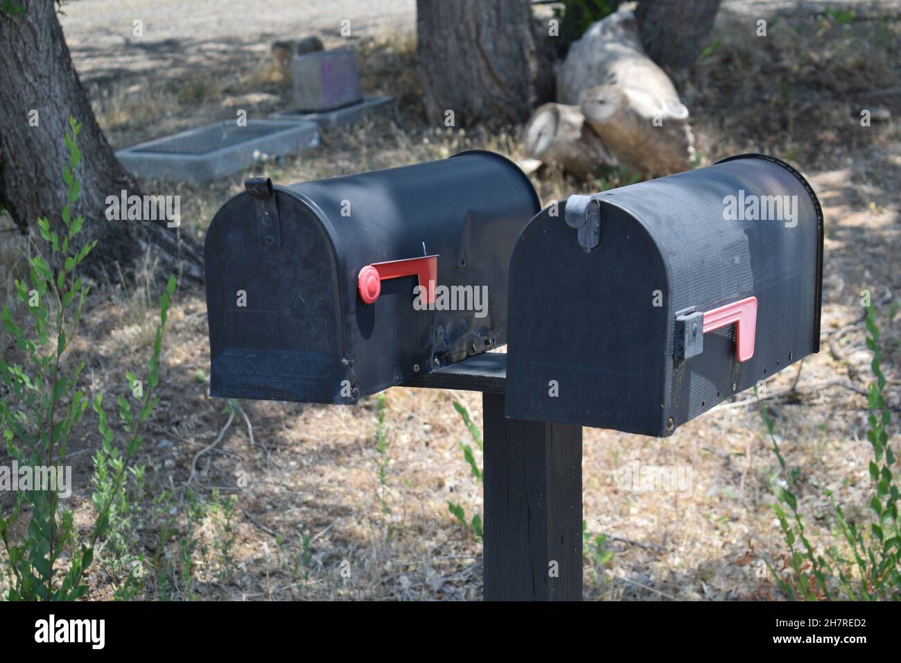 Due cassette postali in metallo nero sul montante. Foto Stock