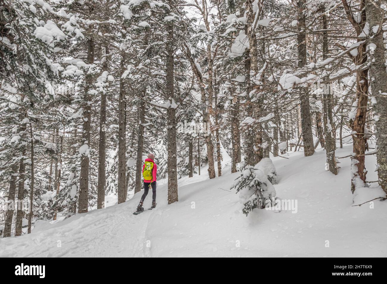 Attività invernali con racchette da neve. Donna racchette da neve nella foresta invernale con alberi innevati. Persone in escursione nella neve escursioni in racchette da neve che vivono sano attivo Foto Stock