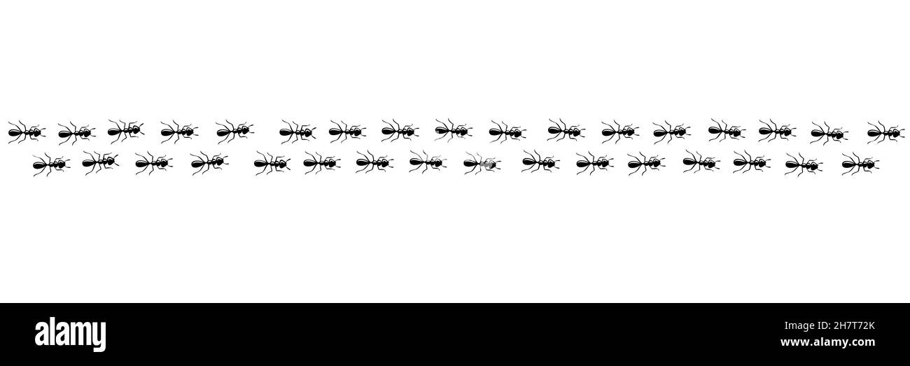 Formiche che marching in trail ricerca cibo. Percorso formico isolato su sfondo bianco. Illustrazione vettoriale Illustrazione Vettoriale