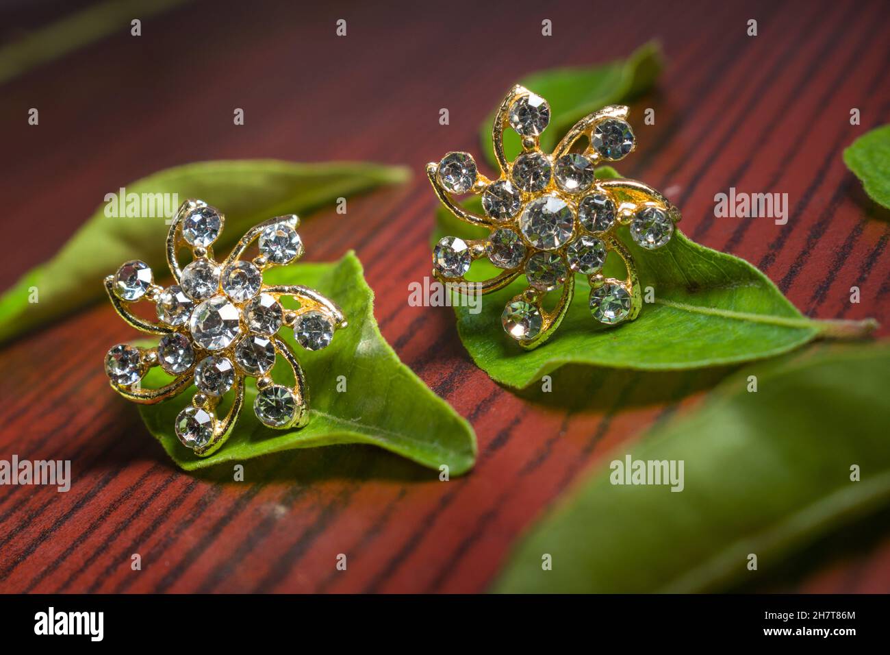 Primo piano di splendidi orecchini a diamante di lusso su foglie verdi con sfondo in legno. Foto Stock