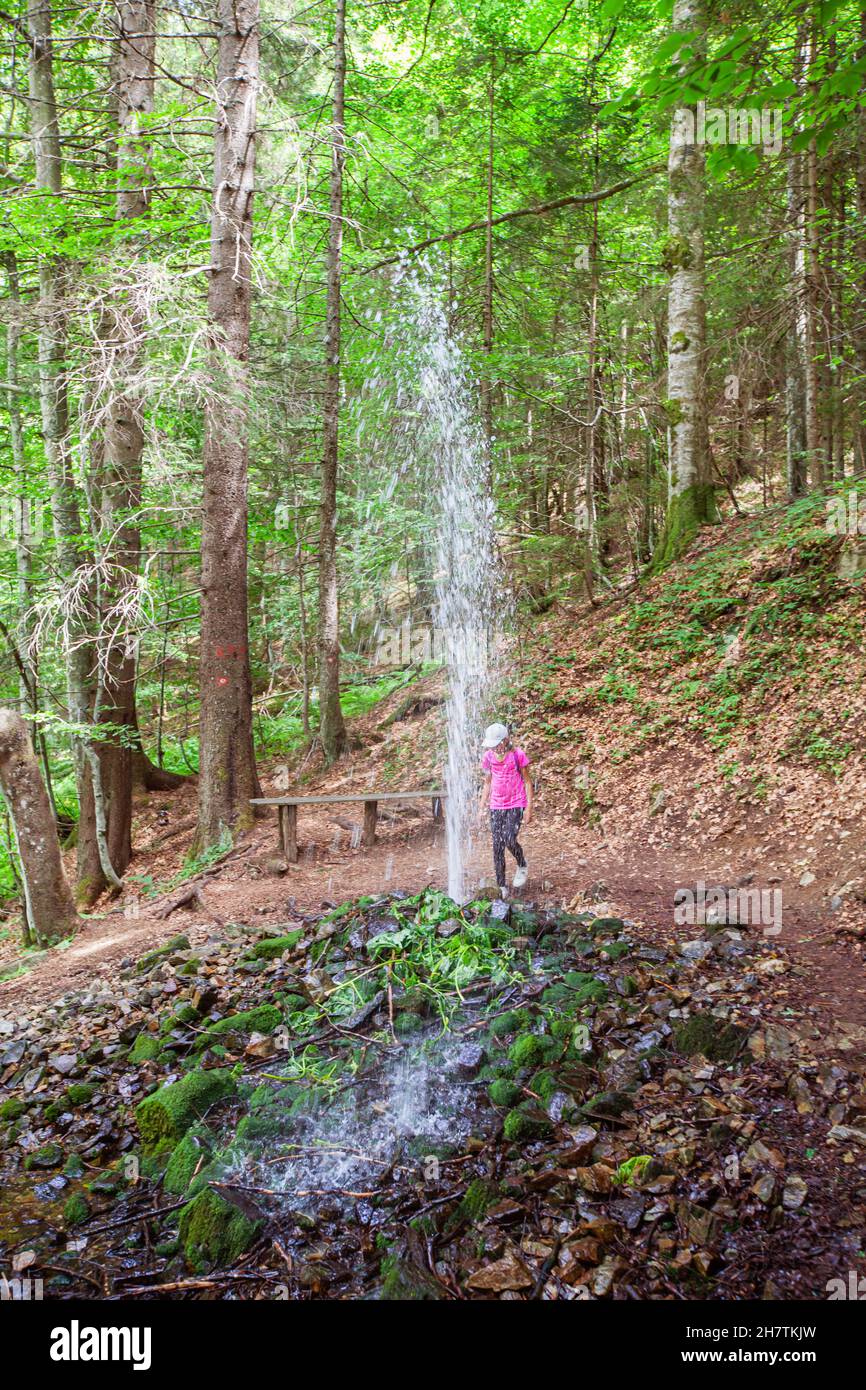Geyser fontana di acqua fredda nella foresta estiva. Attrazione turistica della natura. Montagna Kopaonik, Serbia. Foto Stock