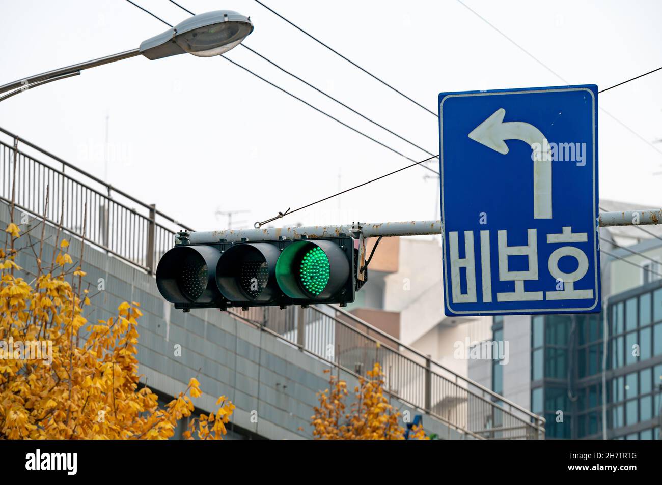 Semafori verdi e indicazioni stradali non protette a sinistra. Corea del sud Foto Stock