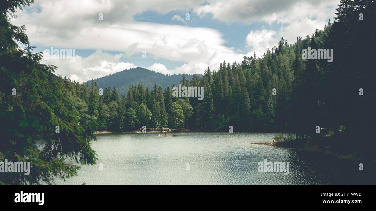 Lago di Synevir incorniciato da boschi carpazi Foto Stock