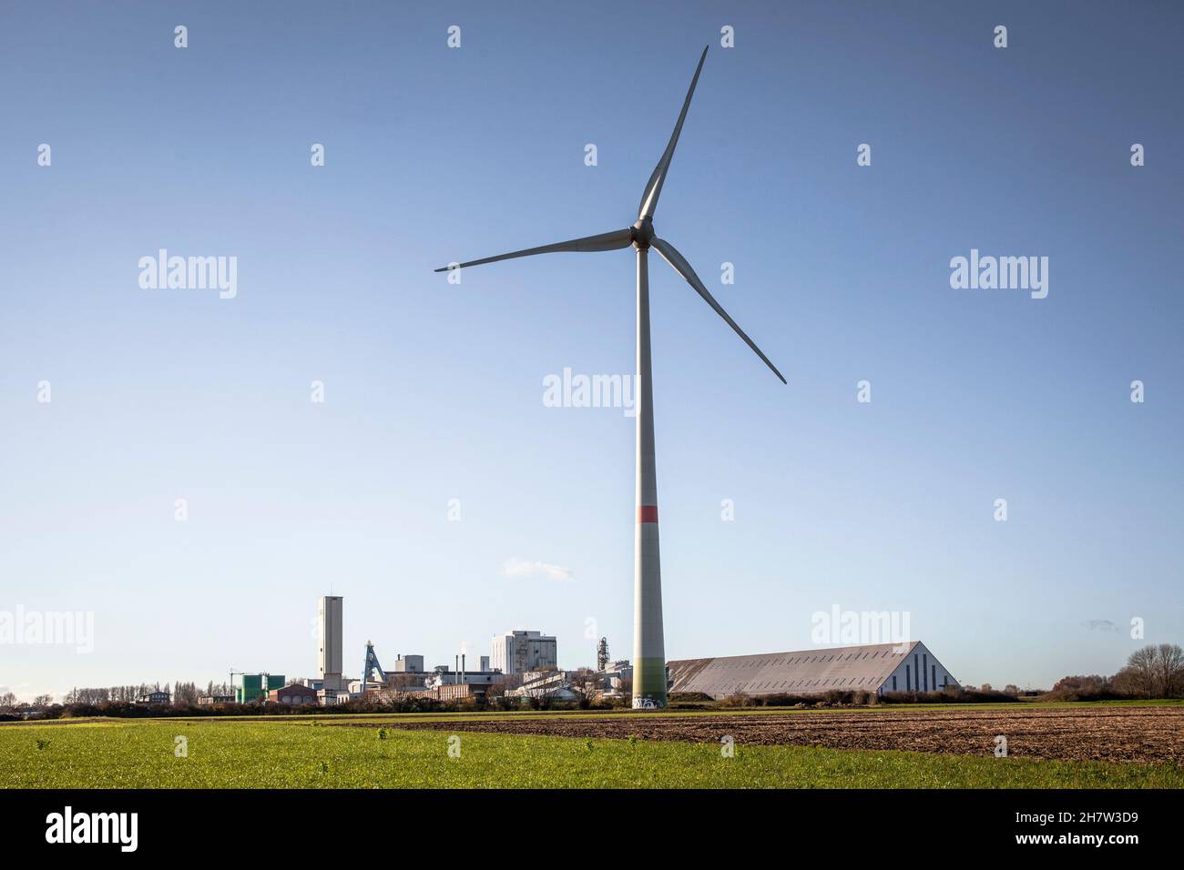 Turbina eolica di fronte alla miniera di sale di Borth a Rheinberg-Borth, vicino a Wesel, sul basso Reno, Renania settentrionale-Vestfalia, Germania. Foto Stock