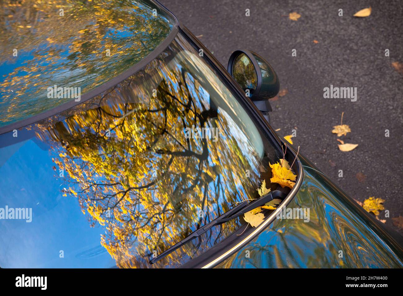 Un albero di acero in autunno si riflette nel parabrezza di un Mini, Wetter an der Ruhr, Renania settentrionale-Vestfalia, Germania. ein Ahornbaum im Herbst spiegelt Foto Stock