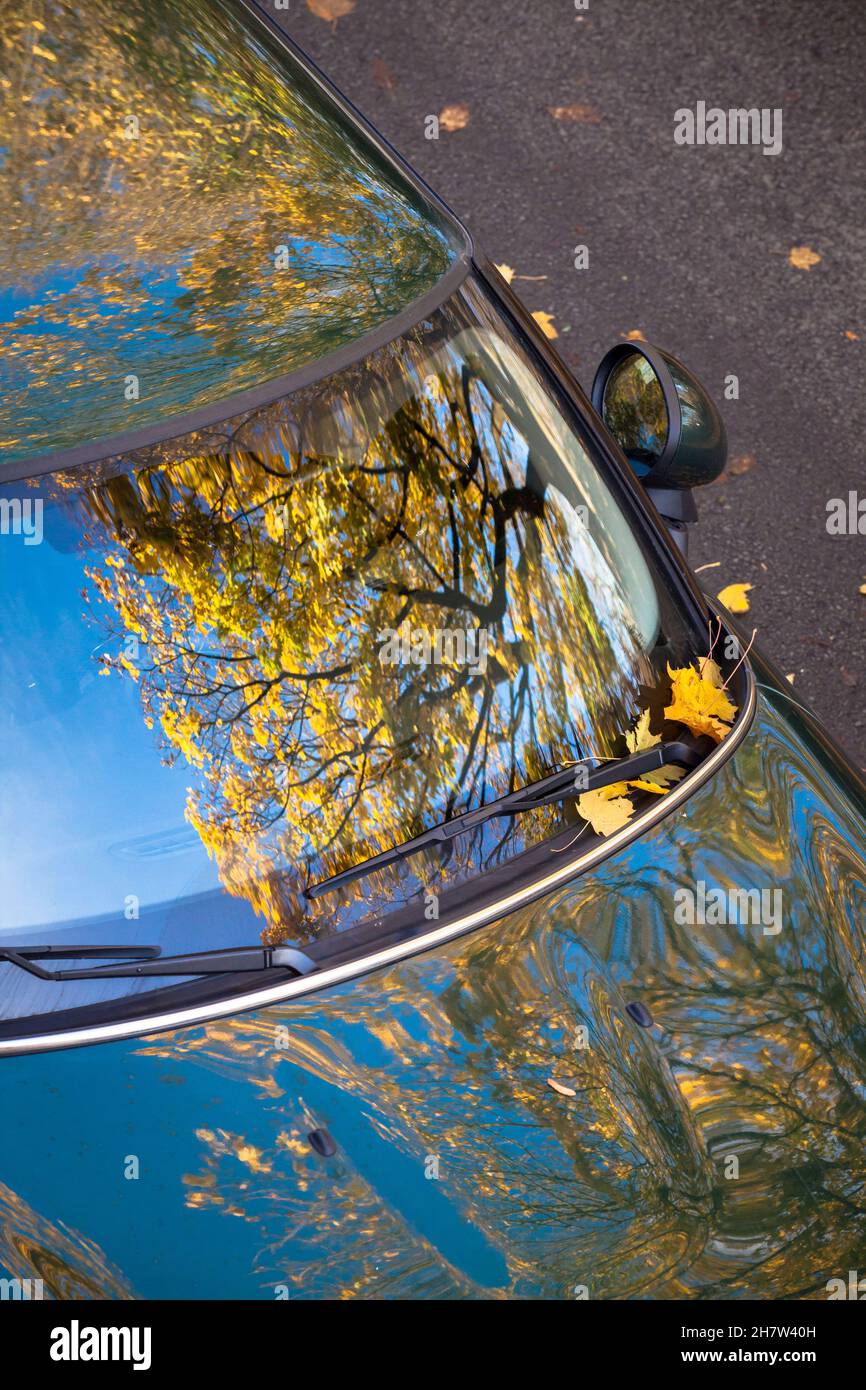 Un albero di acero in autunno si riflette nel parabrezza di un Mini, Wetter an der Ruhr, Renania settentrionale-Vestfalia, Germania. ein Ahornbaum im Herbst spiegelt Foto Stock