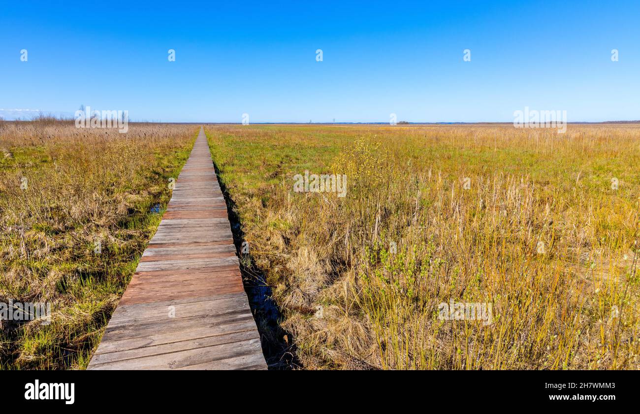 Vista primaverile delle pianure umide del fiume Biebrza e della riserva naturale lungo Dluga Luka, Long Gap, percorso turistico in Podlaskie voivodship in Polonia Foto Stock